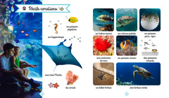 Le grand imagier photos des animaux