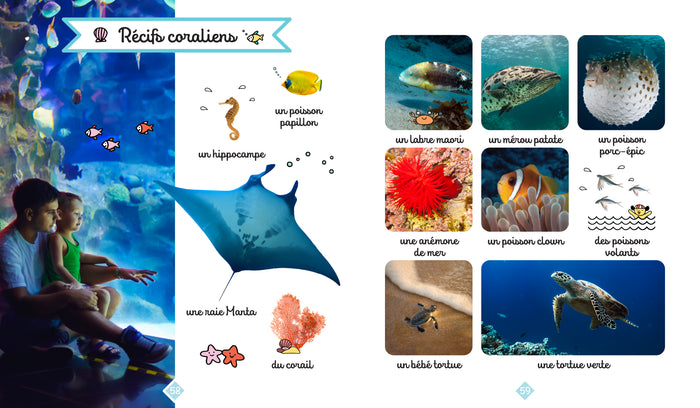 Le grand imagier photos des animaux