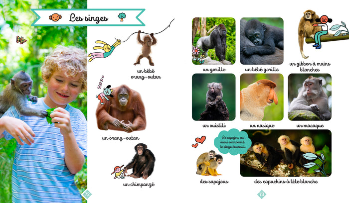 Le grand imagier photos des animaux