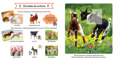 Les bébés animaux