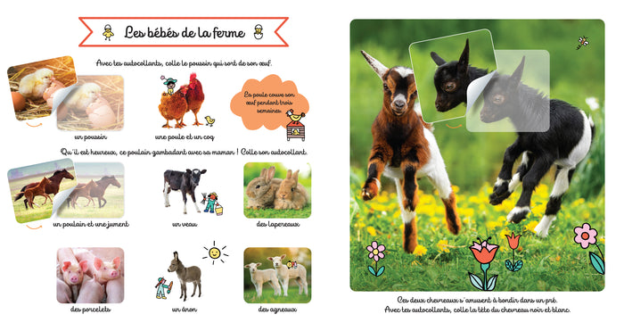 Les bébés animaux