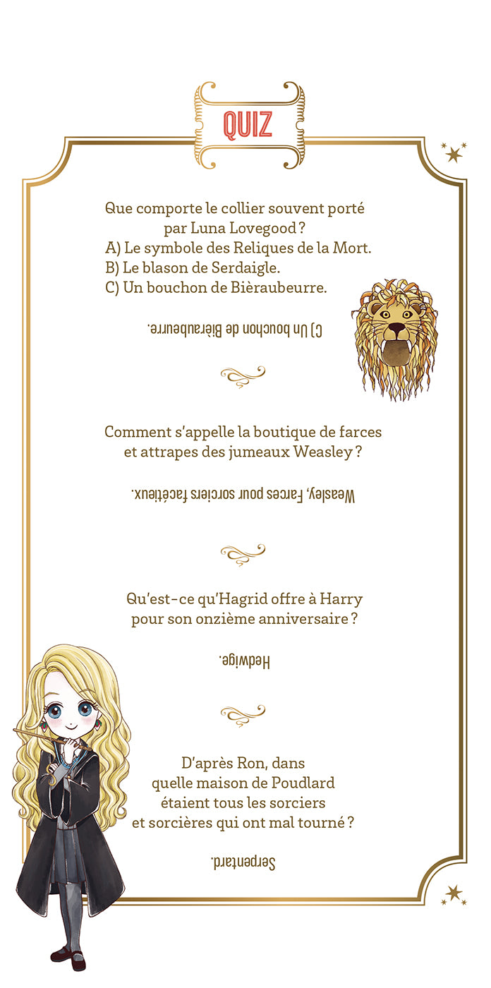 Mon carnet de créations Harry