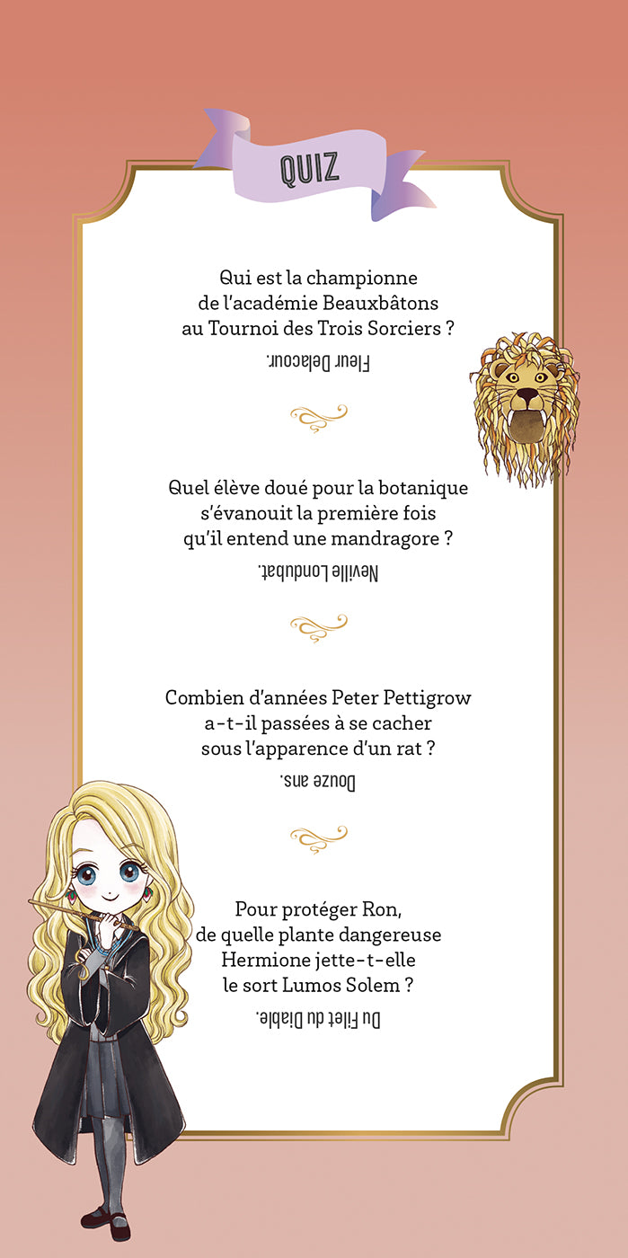 Mon carnet de créations Hermione