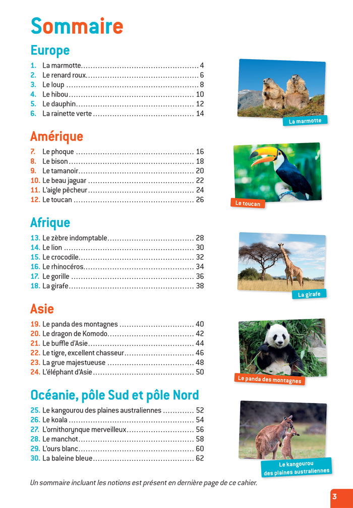 En route pour la dictée ! CE1 - Les animaux du monde
