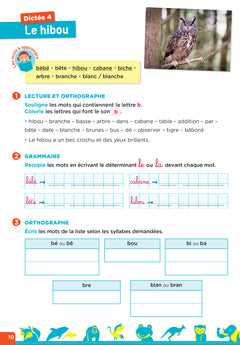 En route pour la dictée ! CE1 - Les animaux du monde