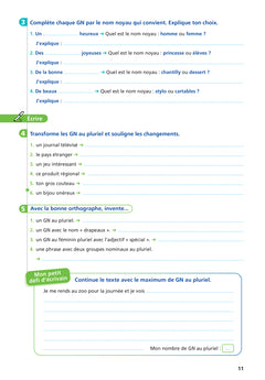 Livret d'entrainement pour une orthographe fluide CM
