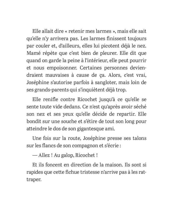 Le concours équestre