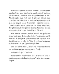 A cheval, Joséphine ! Tome 1 Le concours équestre