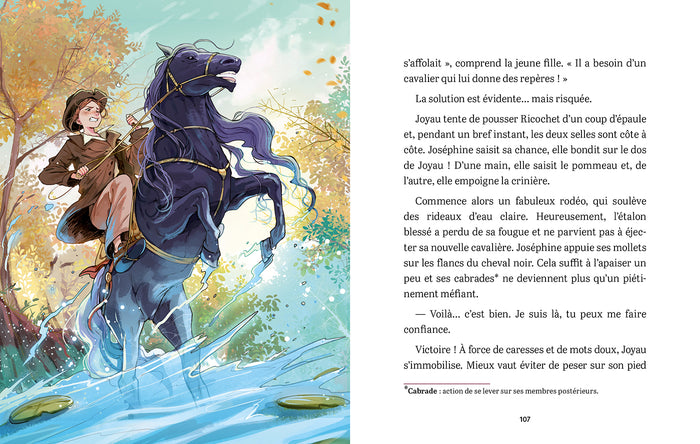 Le concours équestre