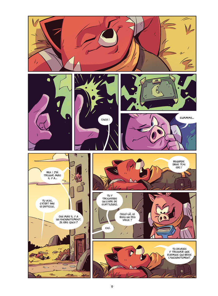 Le Trésor des Terres de Ruines