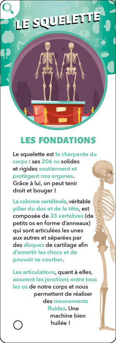 Les incollables - Éventail Passion - Corps humain