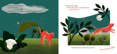 Le Ciel dégringole !