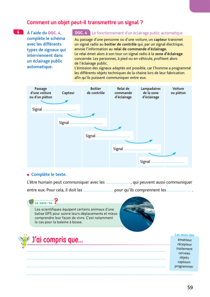 Les Cahiers de la Luciole CM1 - Ed. 2024 - Sciences et Technologie - Cahier élève