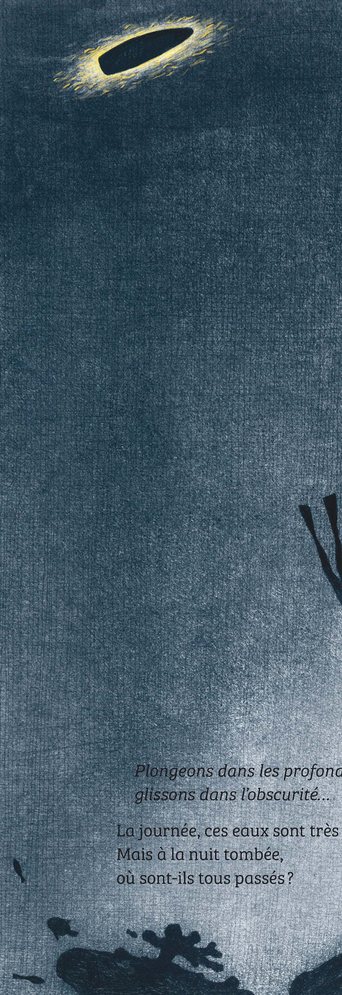 Plonge dans la mer sombre