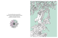 Jungle enchantée à colorier