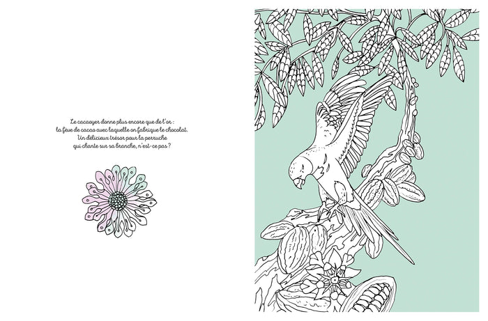 Jungle enchantée à colorier