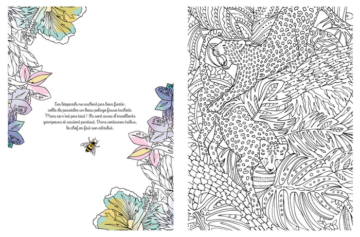 Jungle enchantée à colorier