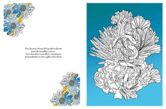 Jungle enchantée à colorier