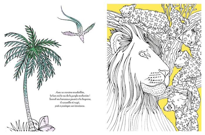 Jungle enchantée à colorier