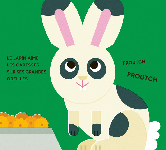 Miaou - Mon p'tit pop-up de compagnie