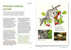 Le doryphore n'aime que les patates - 60 chroniques de végétaux, d'insectes et autres petites bestioles du jardin