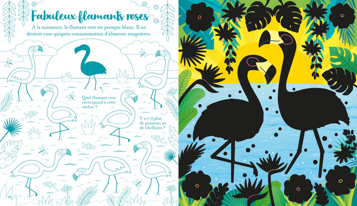 Les animaux - Mon livre à gratter - Dès 6 ans