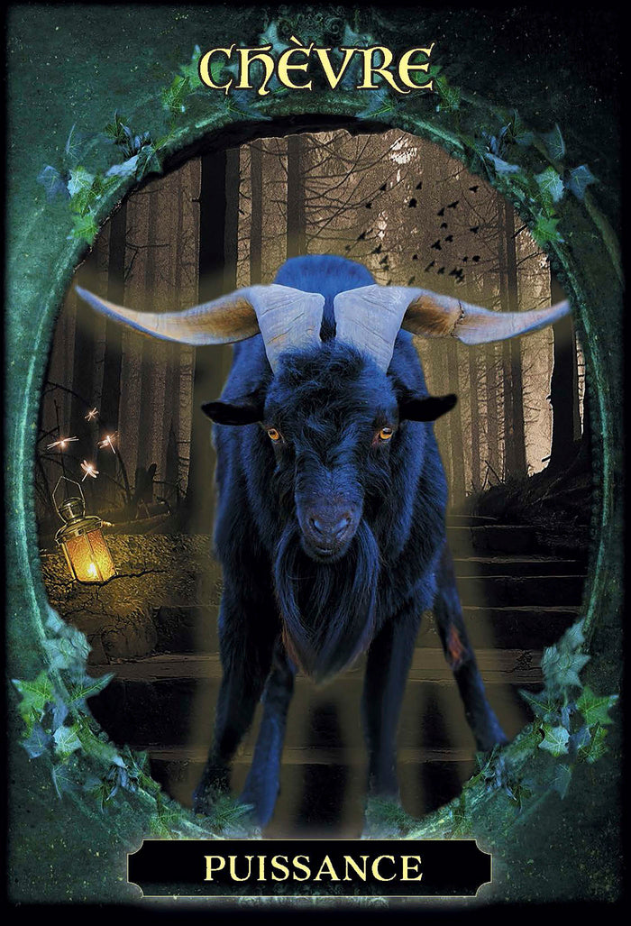 L'oracle des familiers des sorcières