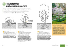 Créer un beau jardin sans corvées - Nouvelles techniques d'entretien - Gestion créative des plantes - En finir avec les idées fausses