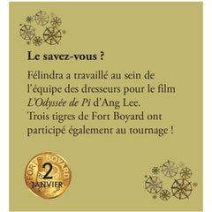 Mini calendrier Fort Boyard 365 Quiz et énigmes
