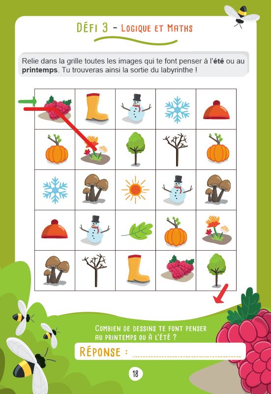 Les défis des petits génies grande section - CP