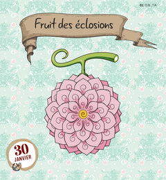 Mini calendrier 365 jours avec One Piece