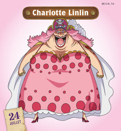 Mini calendrier 365 jours avec One Piece