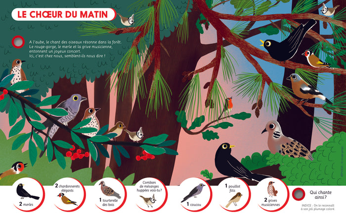Ecoute et trouve - La forêt