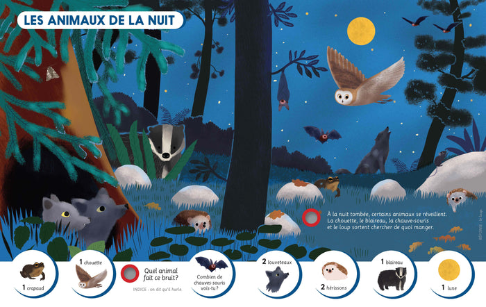 Ecoute et trouve - La forêt