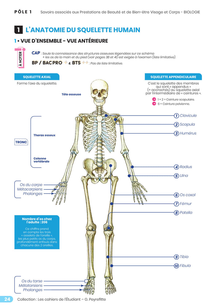 Cahier 1. Organisation du corps humain