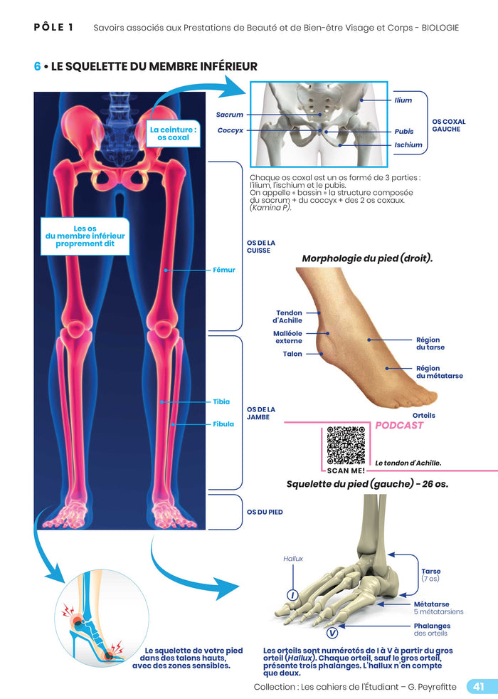 Cahier 1. Organisation du corps humain