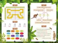 Mes énigmes  Une SAISON AU ZOO CE1