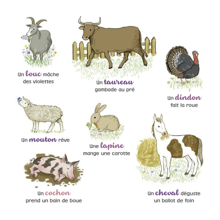 Mon grand imagier des animaux