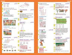 Cahier de vacances 2025 Ariol - Les incollables - CP au CE1 - 6/7 ans