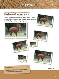 Mon grand livre d'activités une saison au zoo - Cahier de vacances