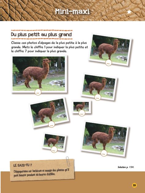 Mon grand livre d'activités une saison au zoo - Cahier de vacances