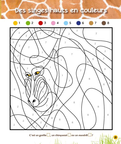 Coloriages magiques Une saison au zoo, spécial savane