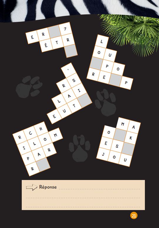 Mes énigmes de l'été - Une saison au zoo