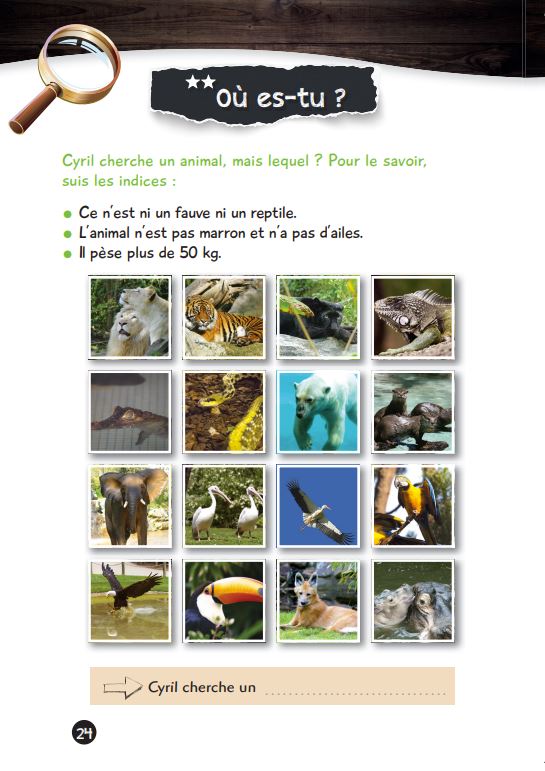 Mes énigmes de l'été - Une saison au zoo