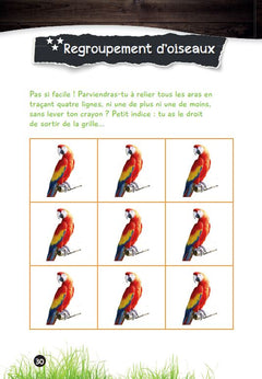 Mes énigmes de l'été - Une saison au zoo