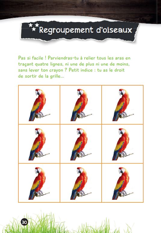 Mes énigmes de l'été - Une saison au zoo