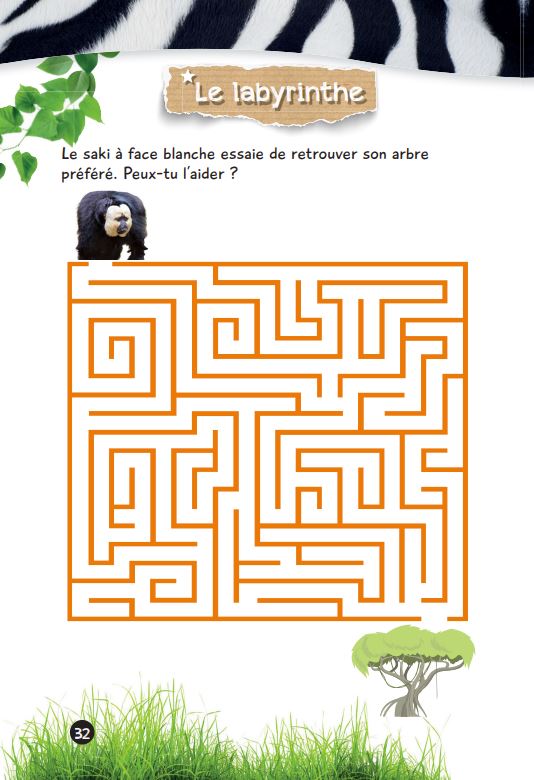 Mes jeux de l'été - Une saison au zoo