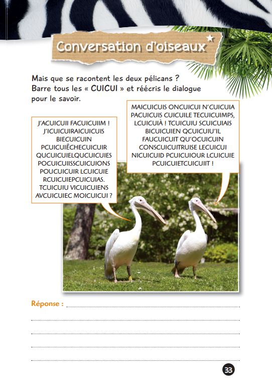 Mes jeux de l'été - Une saison au zoo