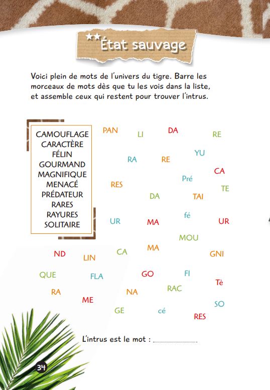 Mes jeux de l'été - Une saison au zoo