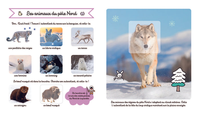 Les animaux du froid